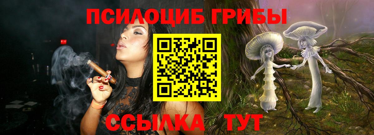 Галлюциногенные грибы Magic Shrooms  купить наркоту  Аргун  Псилоцибиновые грибы Psilocybine cubensis  Вход с VPN 