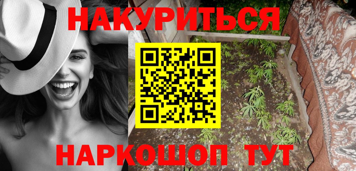 Канабис Bruce Banner Аргун